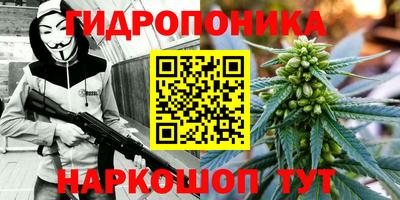 гидра Гагарин