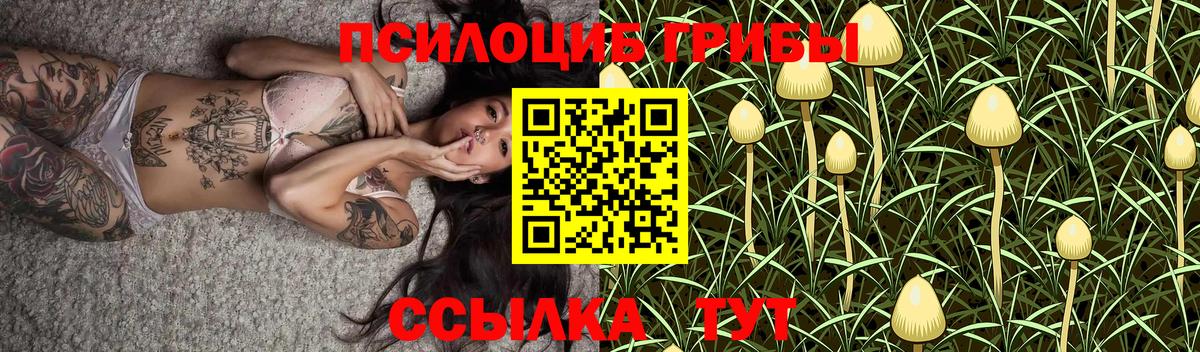 Псилоцибиновые грибы прущие грибы  Вход с VPN  Мытищи  Галлюциногенные грибы Magic Shrooms 