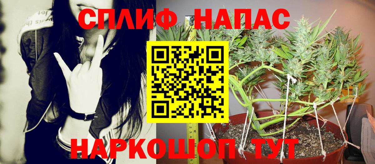 МАРИХУАНА конопля  Шишки марихуана THC 21%  Вход с VPN  Марихуана White Widow  Мытищи 